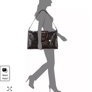 Brahmin anywhere traveler